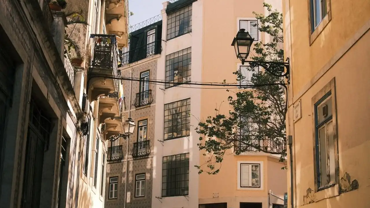 青青草原在线免费观看怎么找 常见问题和选择建议