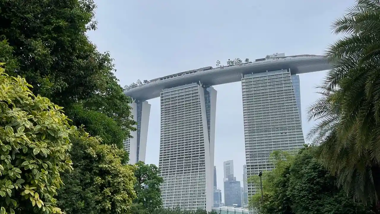 青青草社区的功能特点与适用场景解析